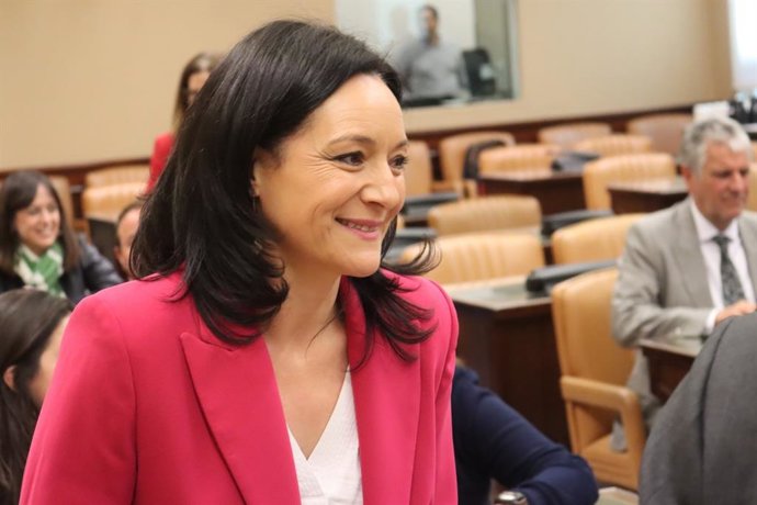 Rafi Crespín en la Comisión de Política Territorial del Congreso.