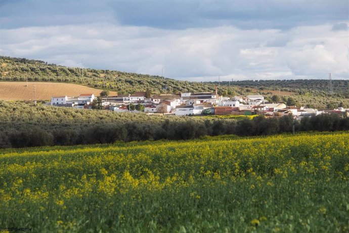 La aldea bujalanceña de Morente, rodeada de olivos y otras tierras de cultivo, donde se instalará parte de la planta solar proyectada.