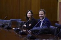 PP-A buscará en la nueva comisión "actualizar y completar los contenidos de la anterior" para saber "qué pasó" en Faffe
