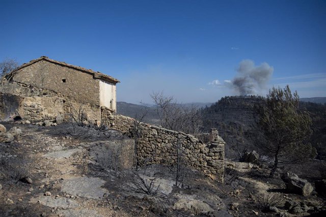 Terreno calcinado de la pedanía de Los Peiros por el incendio  forestal