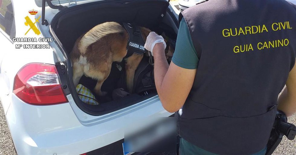 Detención de un varón en Albacete que viajaba con 111 gramos de hachís.