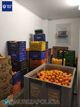 Imagen de las naranjas intervenidas por la Policía Local de Murcia
