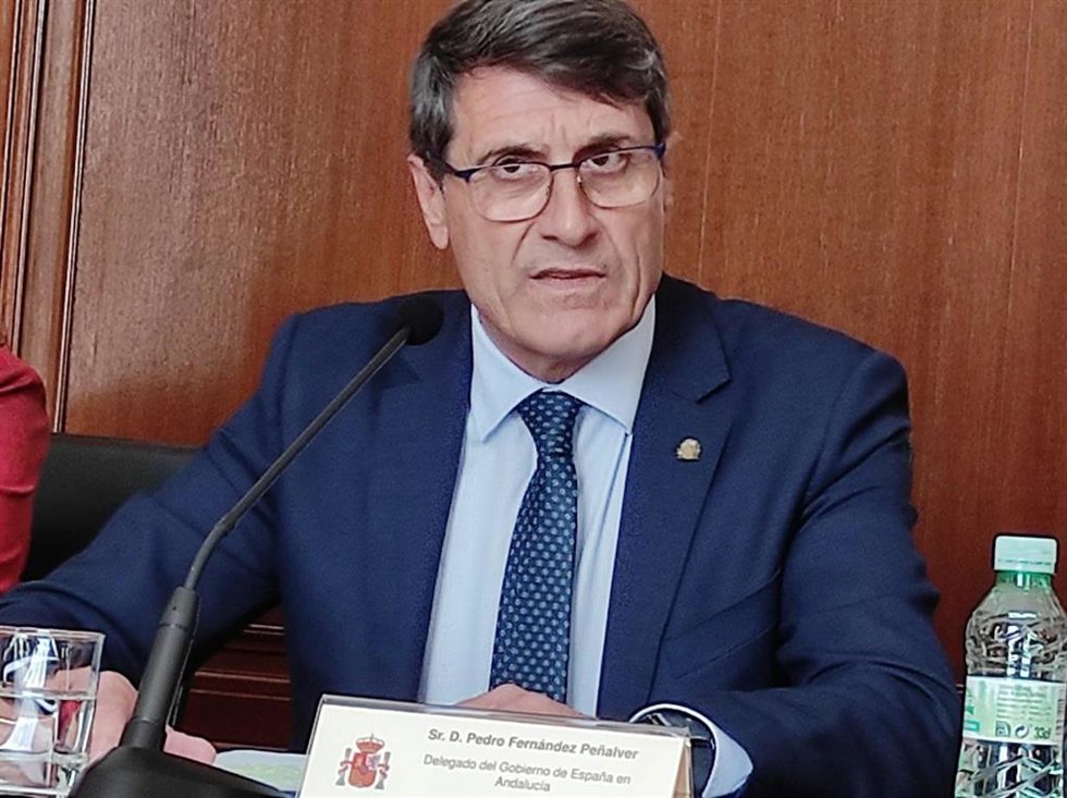 Pedro Fernández durante la rueda de prensa