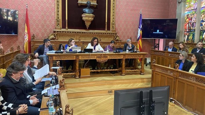 Pleno del Consell de Mallorca, este miércoles.