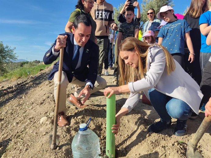 Plantación forestal con escolares.