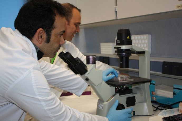 Archivo - Investigador. Imagen de archivo.