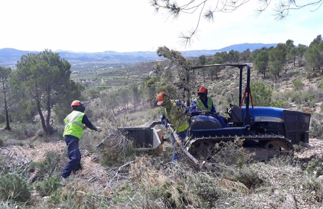 Actuaciones forestales en espacios naturales de la provincia de Almería