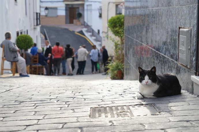 La Diputación destina 87.000 euros para la remodelación de la antigua entrada principal a la villa de Coín