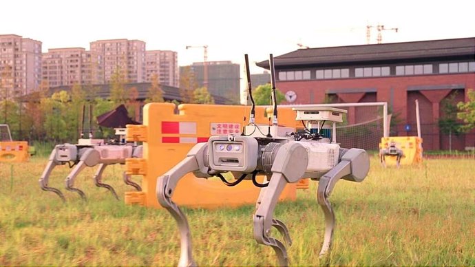 Autonomous Search Trial With Five DEEP Robotics Quadrupedal Robots