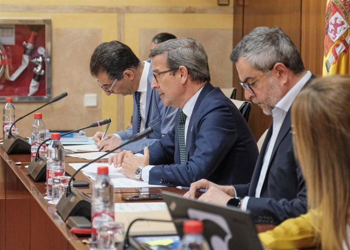 El consejero de Política Industrial y Energía, Jorge Paradela, en Comisión parlamentaria