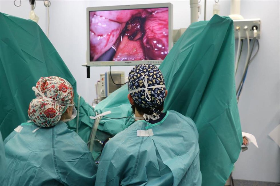 Quirónsalud Zaragoza señala que la detección precoz y los avances en cirugía mejoran la esperanza de vida en cáncer de colon.