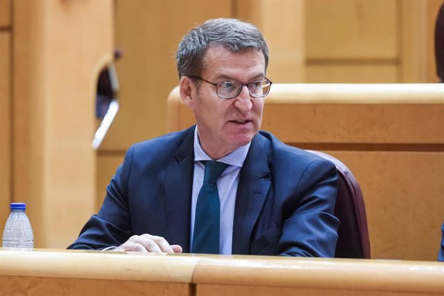 El presidente del PP, Alberto Núñez Feijóo, durante una sesión plenaria en el Senado, a 29 de marzo de 2023, en Madrid (España). 