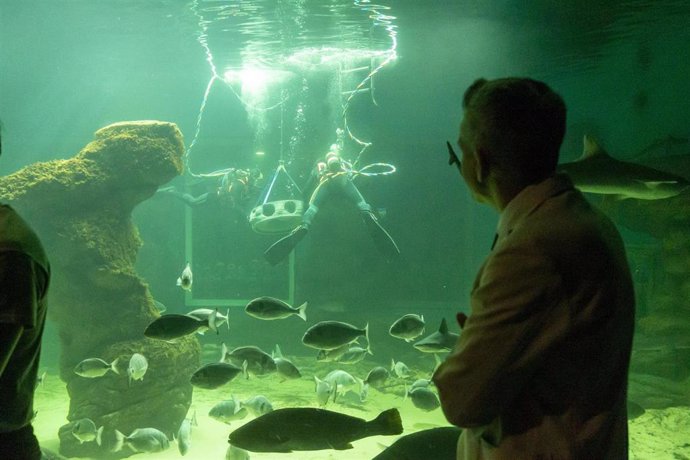 El vicepresidente y consejero de Universidades, Igualdad, Cultura y Deporte, Pablo Zuloaga, asiste a la colocación de arrecifes artificiales dentro del proyecto de investigación de la UC con la colaboración del Museo Marítimo del Cantábrico.