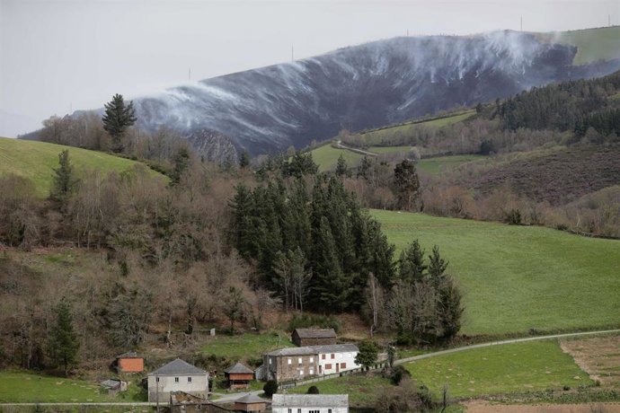 Vegetación afectada con motivo del incendio forestal, a 29 de marzo de 2023, en Baleira, Lugo, Galicia (España). El incendio forestal que afecta al ayuntamiento lucense de Baleira ha alcanzado las 120 hectáreas de superficie quemada --la mayoría rasa. 