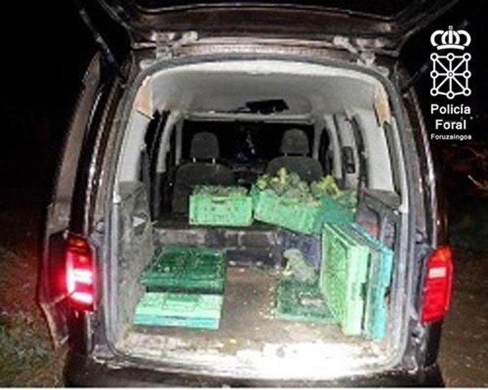 Furgoneta con el brócoli robado.