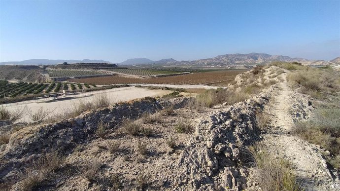 Lugar donde se construirá la presa de la rambla de Tabala