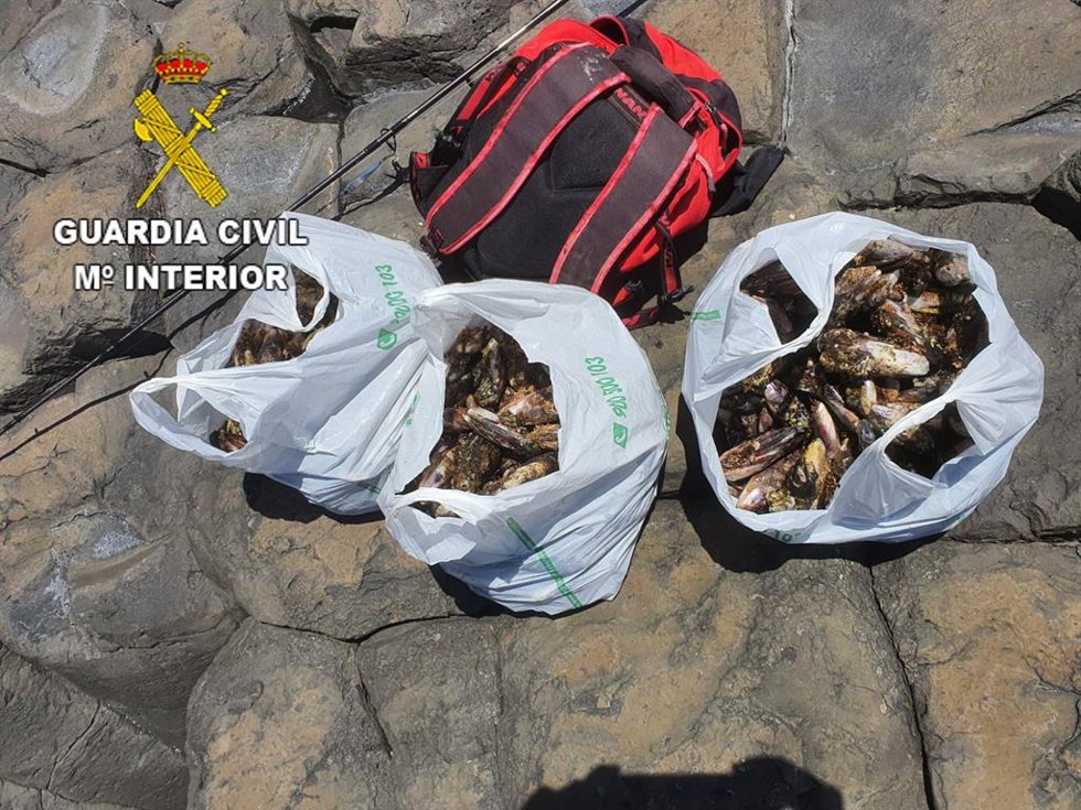 Archivo - Marisqueo ilegal de mejillones en Fuerteventura (recurso)