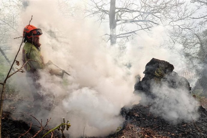 Bomberos de Asturias trabajan en las labores de extinción en un incendio forestal en Asturias el 29 de marzo de 2023.