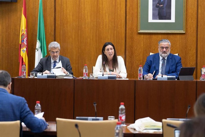 La consejera de Integración Social, Juventud e Igualdad de oportunidades de la Junta de Andalucía, Loles López, comparece durante la Comisión de Integración Social, Juventud e Igualdad, a 30 de marzo de 2023, en Sevilla, (Andalucía, España). 