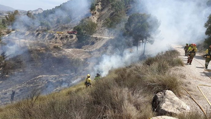 Efectivos adscritos al Plan Infomur, de lucha contra los incendios forestales en la Región de Murcia, trabajan en la extinción de un incendio declarado en un terreno agrícola muy próximo al monte de La Atalaya, en Cieza (Murcia)