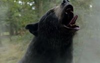 ¿Qué fue del Oso vicioso (Cocaine Bear) real?