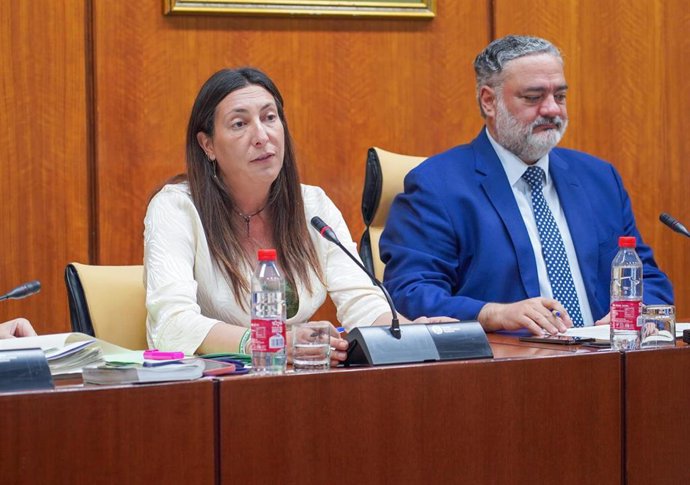 La consejera de Inclusión Social, Juventud, Familias e Igualdad , Loles López, en comisión parlamentaria.