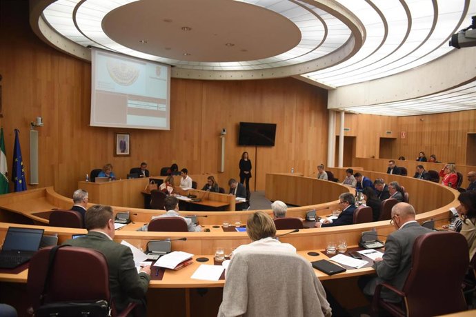 Pleno de la Diputación de Granada