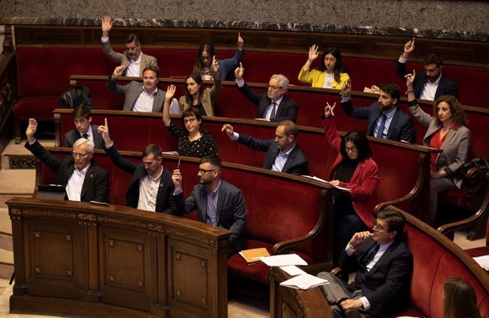 Imagen del Govern del Rialto en una de las votaciones del pleno ordinario de marzo celebrado en el Ayuntamiento de Valncia.