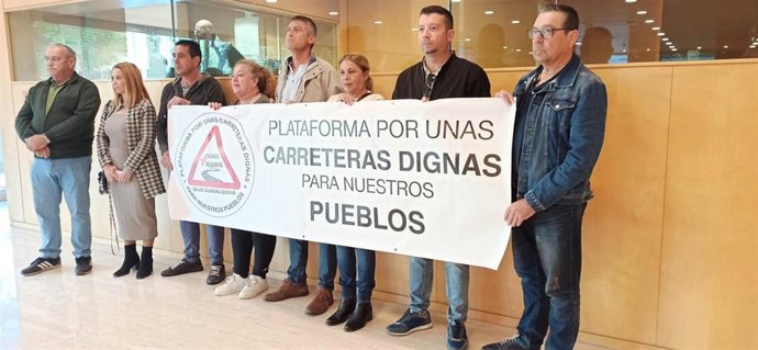 Los miembros de la plataforma en el pleno de la Diputación de Sevilla