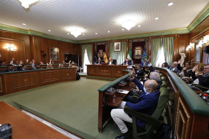 Pleno en el Ayuntamiento de Marbella.