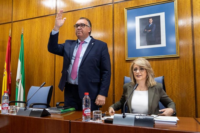 El consejero de Turismo, Cultura y Deporte de la Junta de Andalucía, Arturo Bernal, en la Comisión de Turismo, Cultura y Deporte de la Junta de Andalucía. 