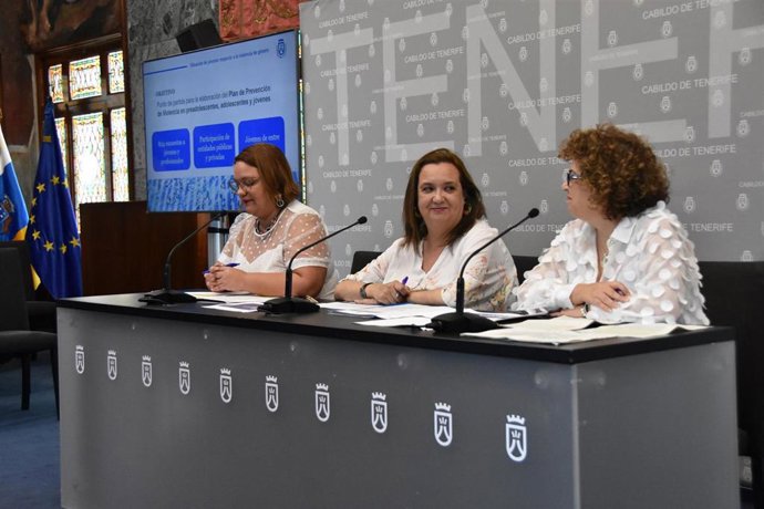 La consejera de Acción Social del Cabildo de Tenerife, Marian Franquet (c), en la presentación del plan de prevención de violencia de género
