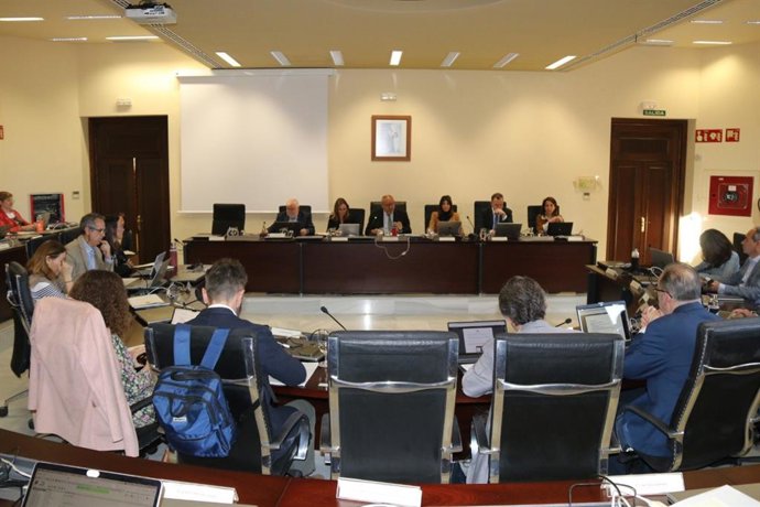 Imagen de la sesión ordinaria de Consejo de Gobierno de la Universidad de Córdoba.