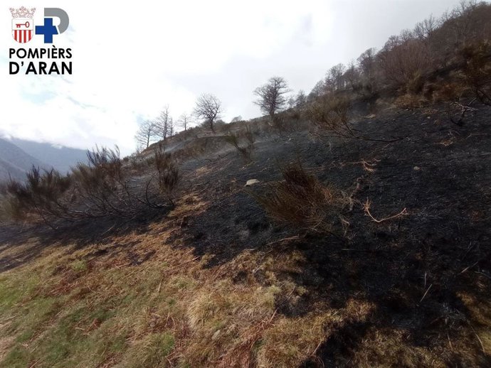 rea afectada pel foc a Canejan (Lleida)