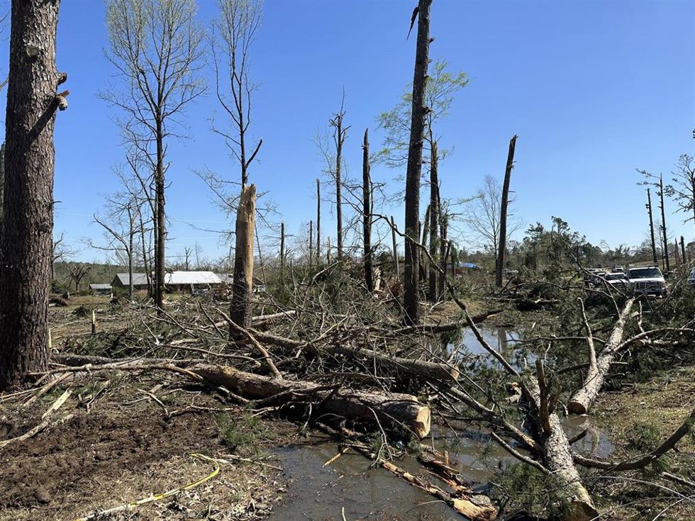 El estado de Misisipi tras el paso de los tornados