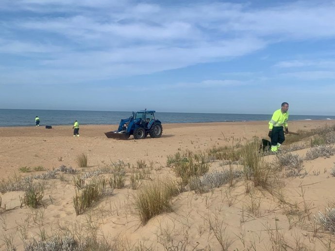 Operarios limpian la playa del Espigón de Huelva.