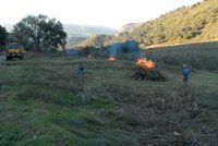 Andalucía suspende excepcionalmente las quemas agrícolas durante diez días para prevenir incendios forestales