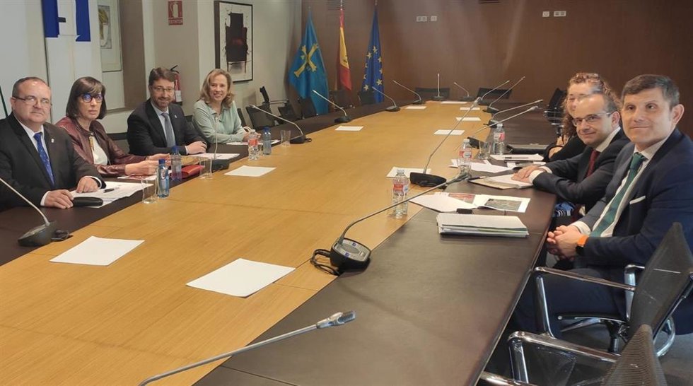 Reunión del Gobierno asturiano con ArcelorMittal y Enagás
