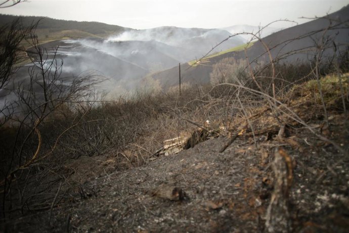 Monte arrasado por las llamas en Padornelo, a 30 de marzo de 2023, en Padornelo, Baleira, Lugo, Galicia.