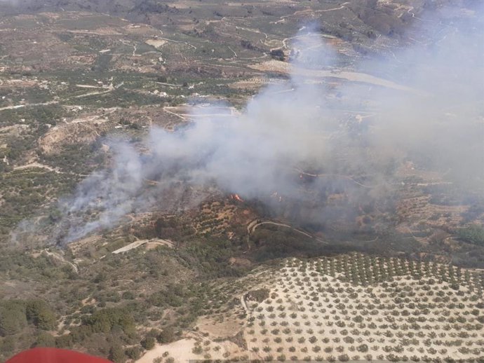 Incendio forestal en Albuñuelas