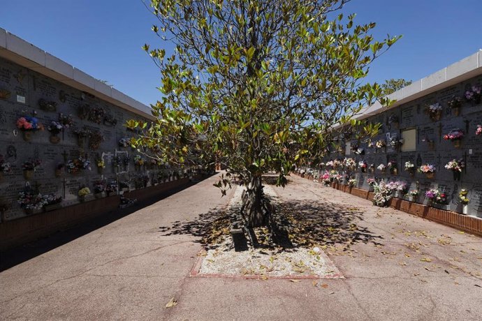 Archivo - Nichos del Cementerio Sur-Carabanchel de Madrid. Desde hoy se permiten los velatorios con hasta 15 personas por sala y 10 en su interior, con medidas de higiene y distanciamiento, y a los entierros o cremaciones podrán asistir hasta 15 allegad