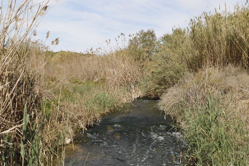 Río Vinalopó