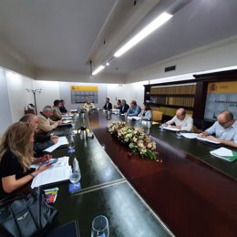 La comisión provincial del PFEA