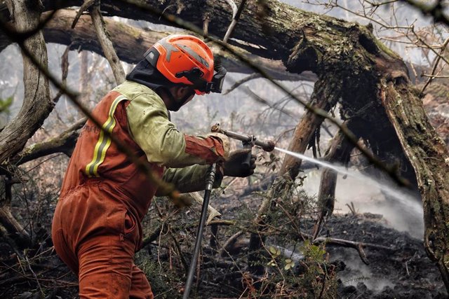 Bomberos de Asturias trabajan en las labores de extinción en un incendio forestal, a 29 de marzo de 2023, en Toraño, Parres, Asturias (España). 