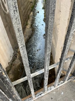 Canal de la Colonia de San Miguel