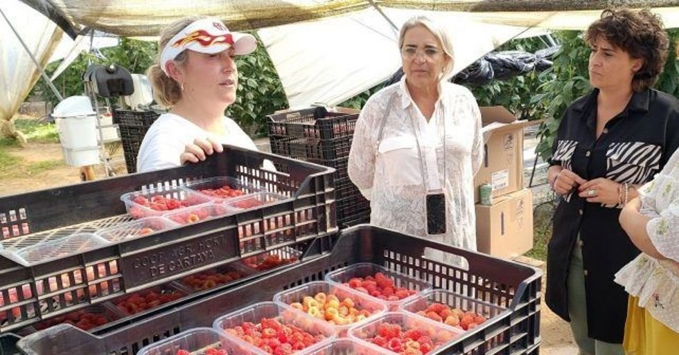 La Senadora Por El PSOE De Huelva Pepa González Bayo