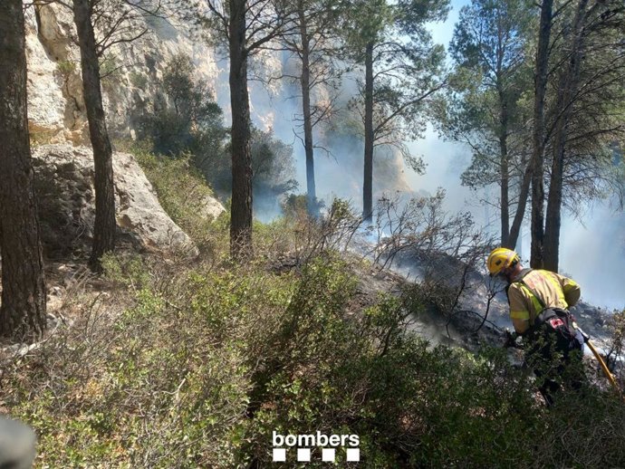 El fuego en la sierra de Pndols, en el municipio de Gandesa (Tarragona)