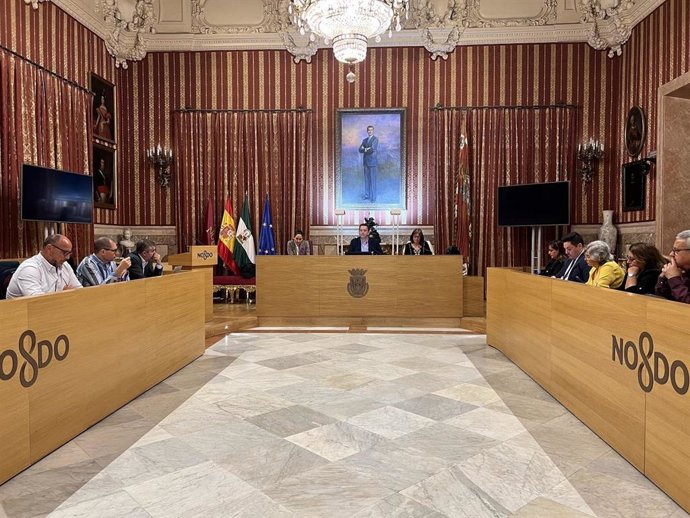 Consejo Local de Cooperación al Desarrollo del Ayuntamiento de Sevilla