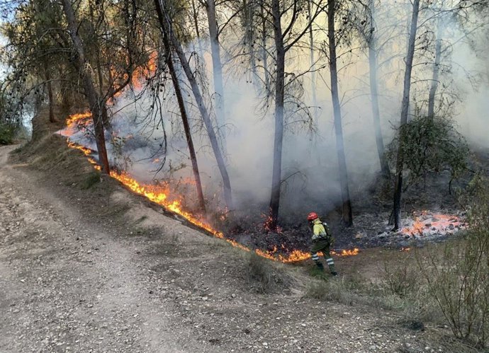 Llamas del incendio en una zona de la pedanía murciana de la Alberca.