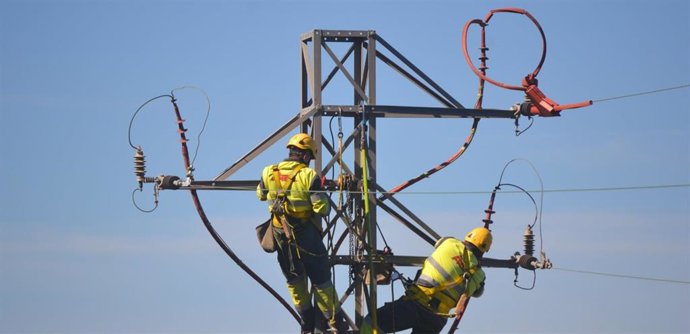 Trabajadores de Endesa modifican un apoyo para proteger a las aves.
